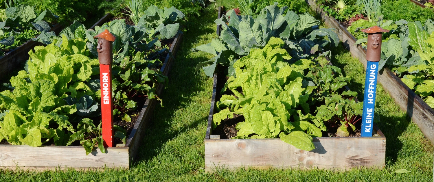 Beete FrischUndBunt Gartenabo Persönliche Beete von Frisch&Bunt