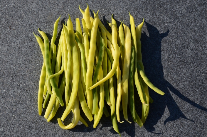 Stangenbohnen Stangenbohnen