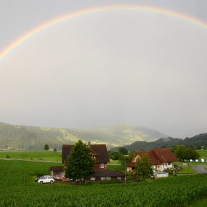 Regenbogen Frisch&Bunt Gartenabo Regenbogen
