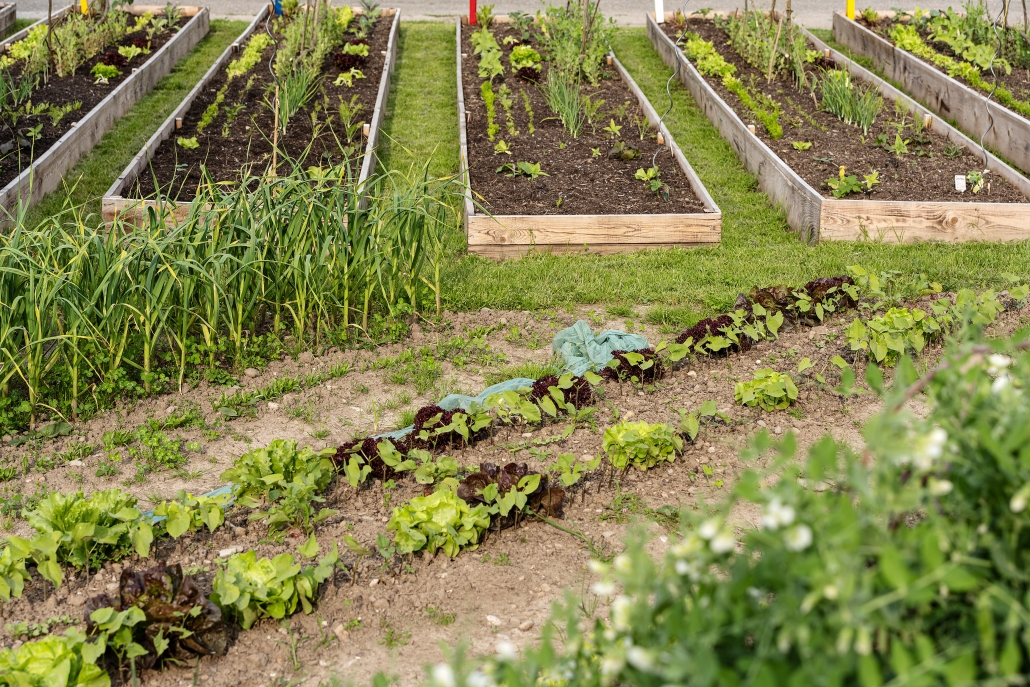 Frühling: vor den Unwettern... Vor den Unwettern...