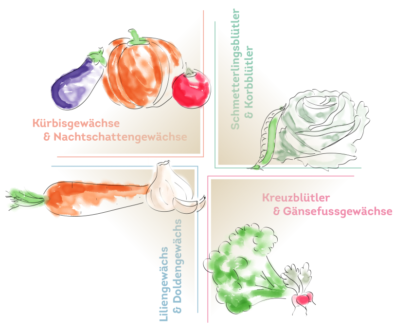 Vier-Felderwirtschaft